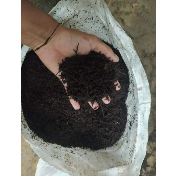 Pakis cacah (halus / kasar)