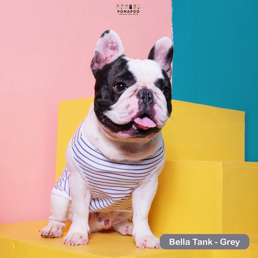 Pomapoo Kaos Bella - Baju Kaos Kucing dan Baju Kaos Anjing Tank