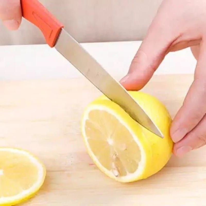 PISAU KUPAS BUAH DAN SAYUR PISAU KECIL PISAU DAPUR STAINLESS SARUNG SERBAGUNA PISAU MURAH