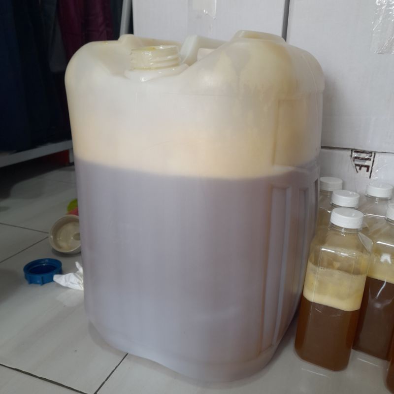 

Madu Asli Murni Sumatera 1000gr / 1kg Tanpa Efeksamping Piring Terbang