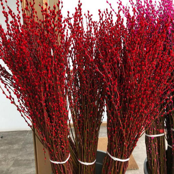 pussy willow single, tinggi 1 meter/ bunga imlek / dekorasi imlek