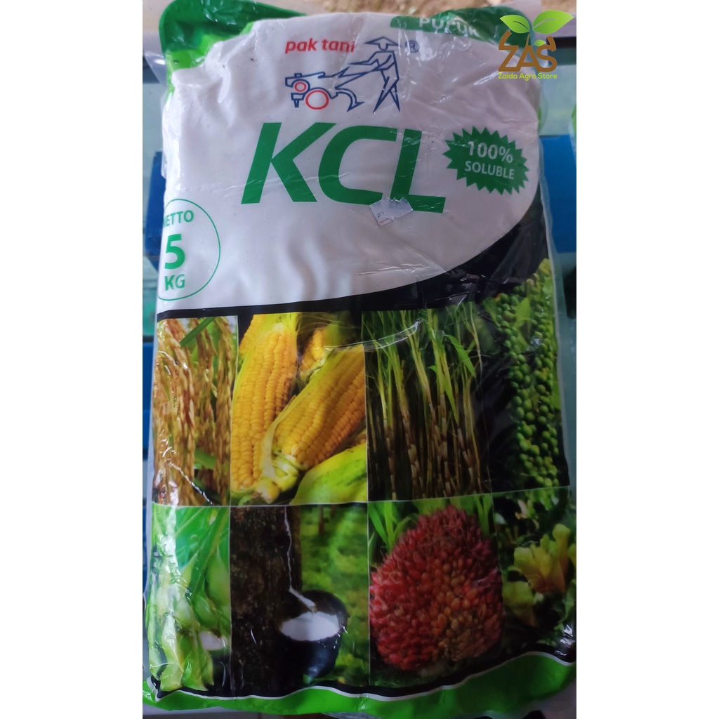 KCL PUTIH - PAK TANI - KEMASAN 5KG