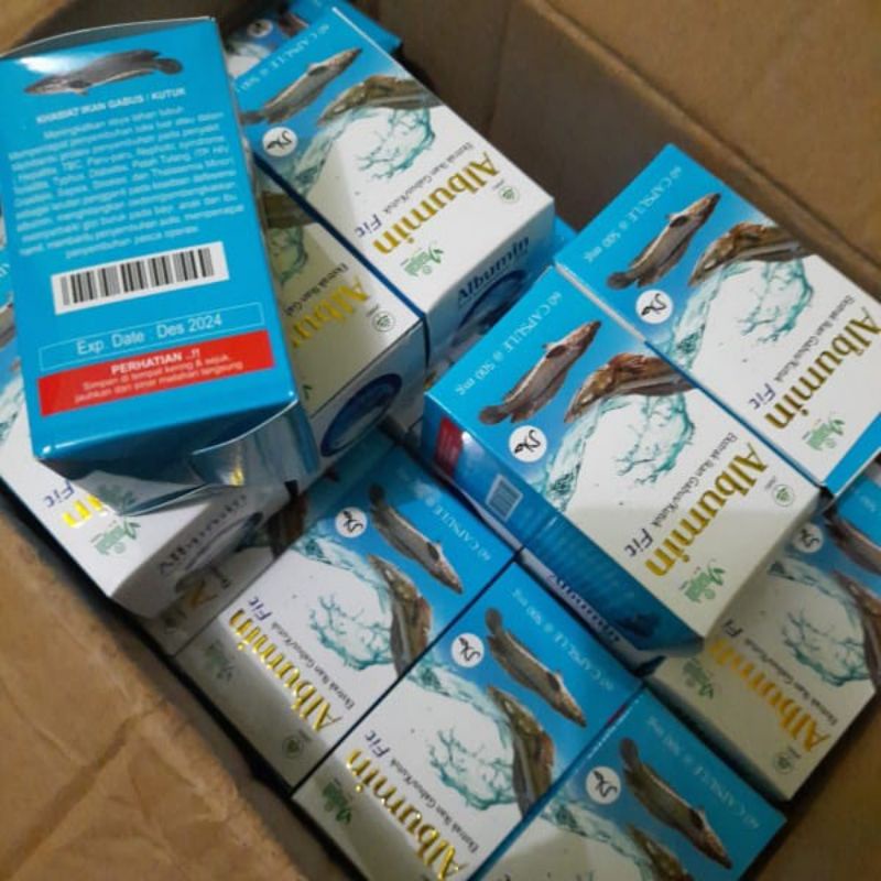 Albumin Fit Kapsul Ikan Gabus