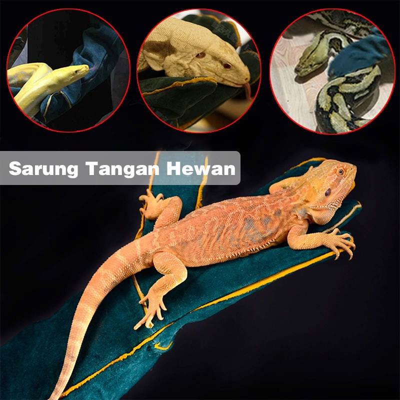 【60 CM】Sarung Tangan Kulit Tebal Anti Gigit Anti Scratch/Sarung Tangan Hewan/Reptile Protectiove Gloves/Sarung Tangan Pelindung Anti Gigit Panjang