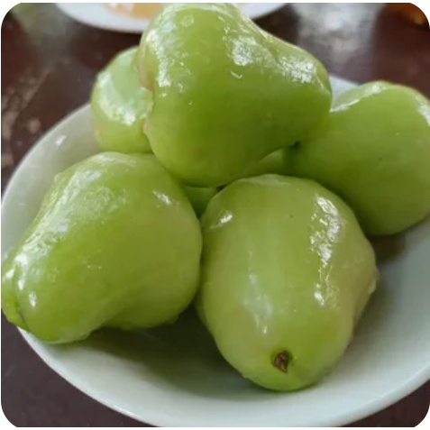 

JAMBU AIR HIJAU SEGAR 1 kg