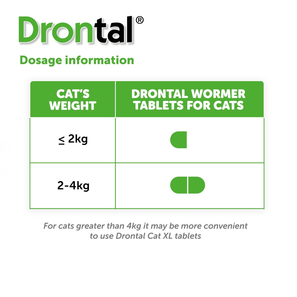 drontal cat, obat cacing kucing - per tablet