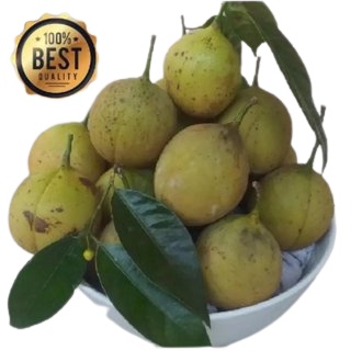 

BUAH PALA SEGAR PRESH PER 1KG