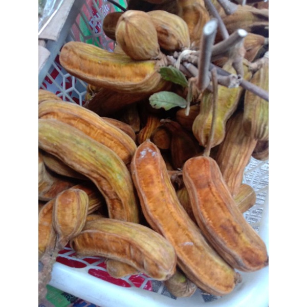 

buah salju fresh 1 kg (kwalitas super)