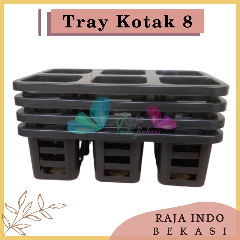 Tray Pot Kotak 8 cm Warna Hitam Tray Semai Bibit TRYPOT KOTAK 8 cm NKT 8 cm NKT JUOSS 8 Tray Semai 200 105 50 128 72 288 Lubang Padi Tutup Tebal-Tray pot nkt kotak 8cm (tanpa pot) | nkt kotak 8cm | tray semai bibit