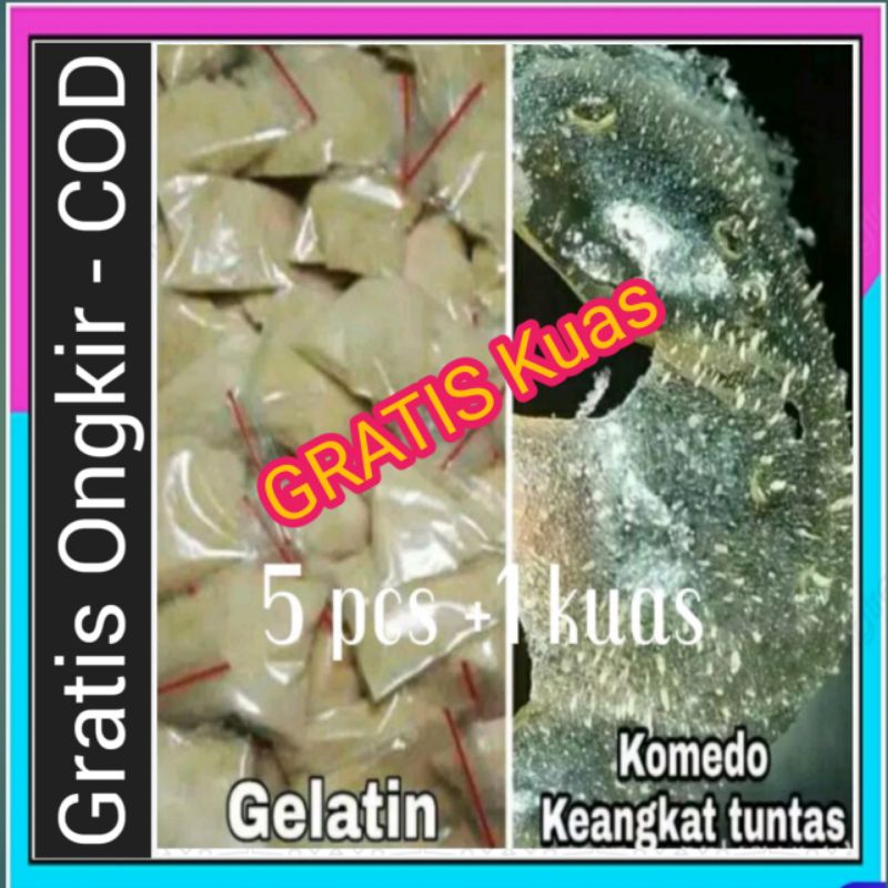 Masker Gelatin Komedo Isi 10 Pcs