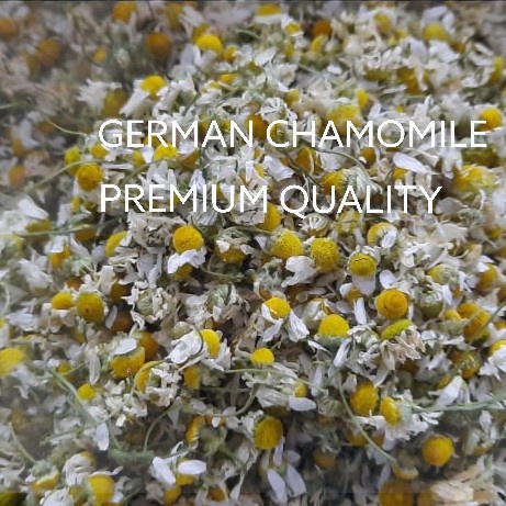 

Sale German Chamomile Bulk 500 Gram [Premium] /TEH DIET/TEH PELANGSING/TEH HIJAU/TEH JATI CINA/TEH