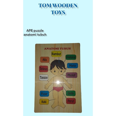 puzzle anatomi tubuh manusia mainan edukatif