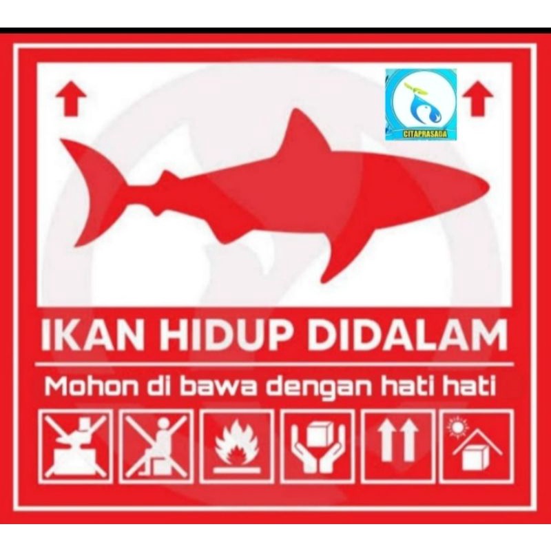 

sticker ikan asli