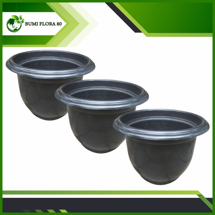 pot cempaka 50 globallion/cempaka 50/pot besar cempaka