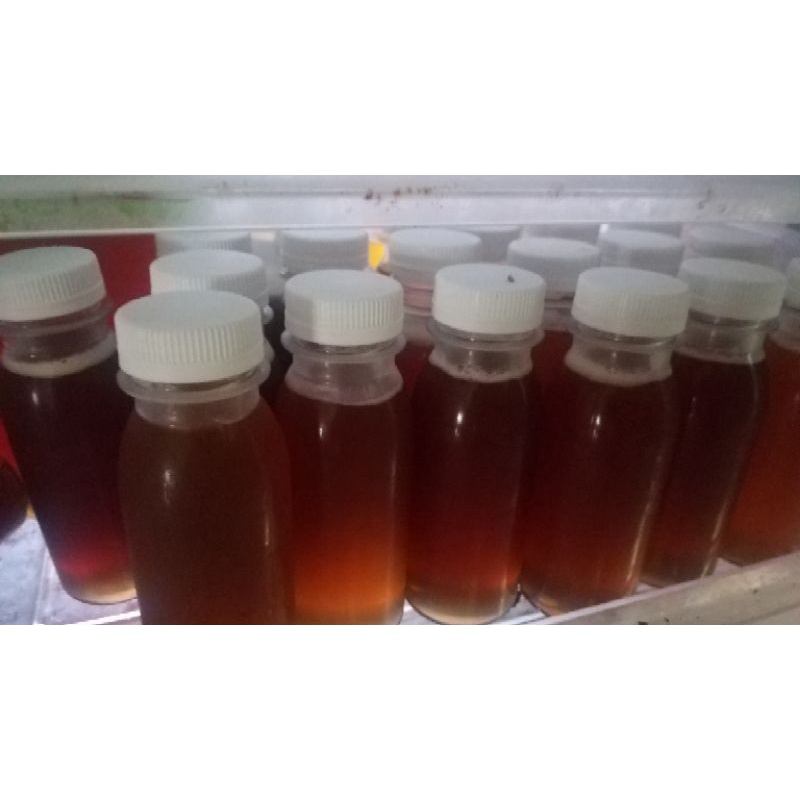 

MADU KELULUT/KLANCENG KALIMANTAN ASLI