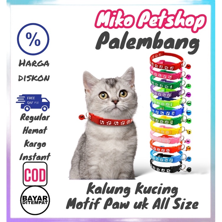 Kalung Kucing Tebal Motif PAW + Lonceng MURAH