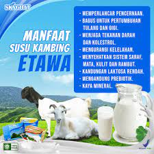 

Skygoat Susu Kambing Etawa || Susu Kambing Etawa skygoat Isi 10 Sahset