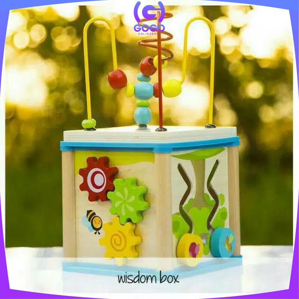 GOGO-M65 Mainan Edukasi Anak Puzzle Kayu Intelligence / Wisdom Box Busy Box Multifungsi Wooden Toys