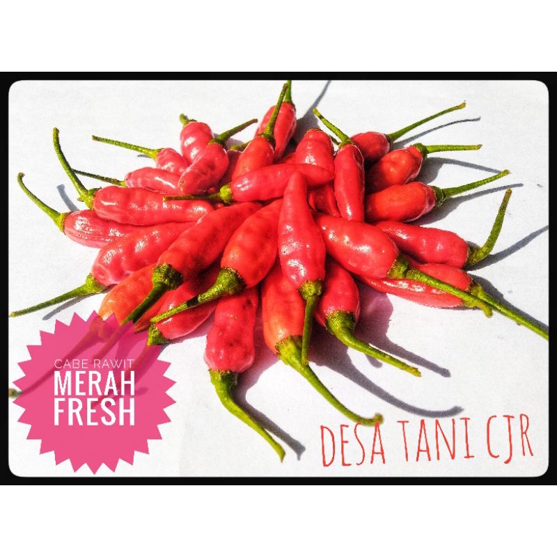 

Cabe Rawit Merah Fresh
