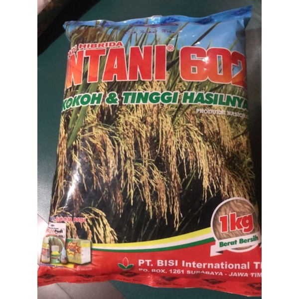 benih padi hibrida intani 602 cap kapal terbang 1 kg