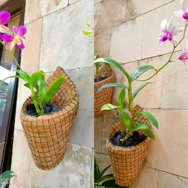 Pot Anggrek Sabut Kelapa Untuk Tanaman Hias Anggrek