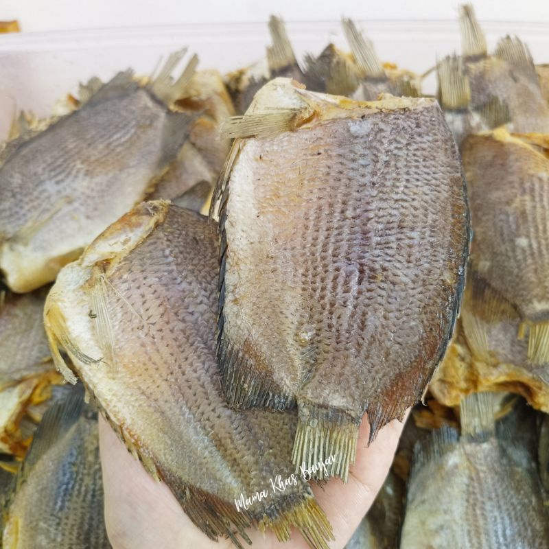 

Biawan Tanpa Kepala 500gr