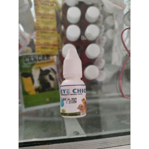 Eye chick Obat Tetes Mata Ayam Unggas Burung Mentok Bebek