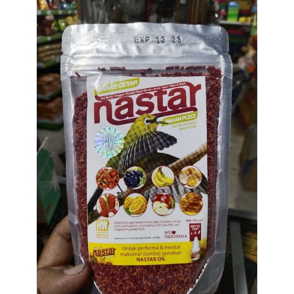 NASTAR PLECI