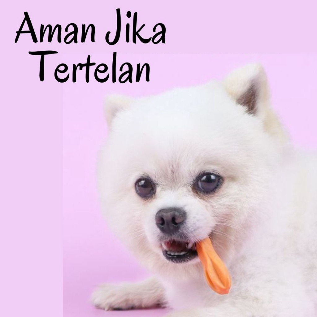 Whimzees Toothbrush Dog Chew Toys Mainan Gigitan Anjing FEFARM