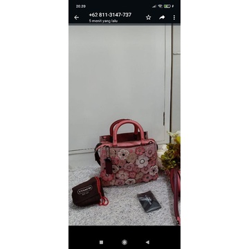 tas co Rogue tearose