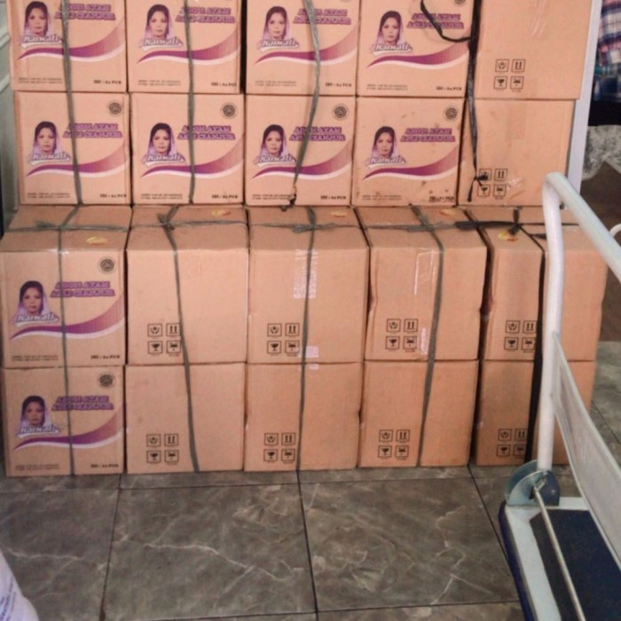 

ABON KARWATI TOPLES 1 DUS