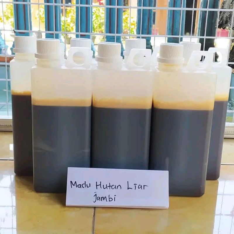 

Madu Hutan Liar