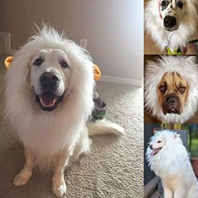 Dog Lion Wig kostum Size XL Wig Singa untuk kucing / Anjing BESAR - Putih