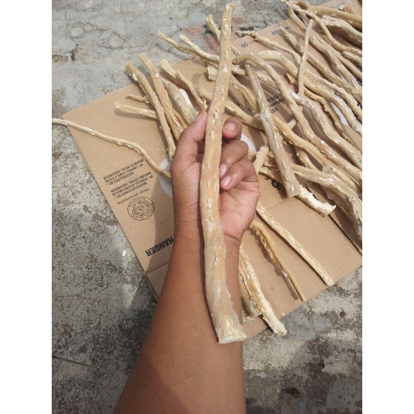 bahan akar Bahar putih size klingking