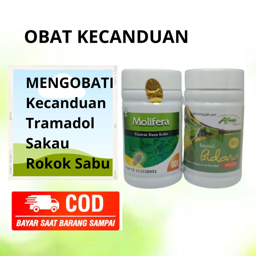 Obat Herbal Untuk Mengatasi Kecanduan Narkoba Narkotika Tramadol Ekstasi Sabu