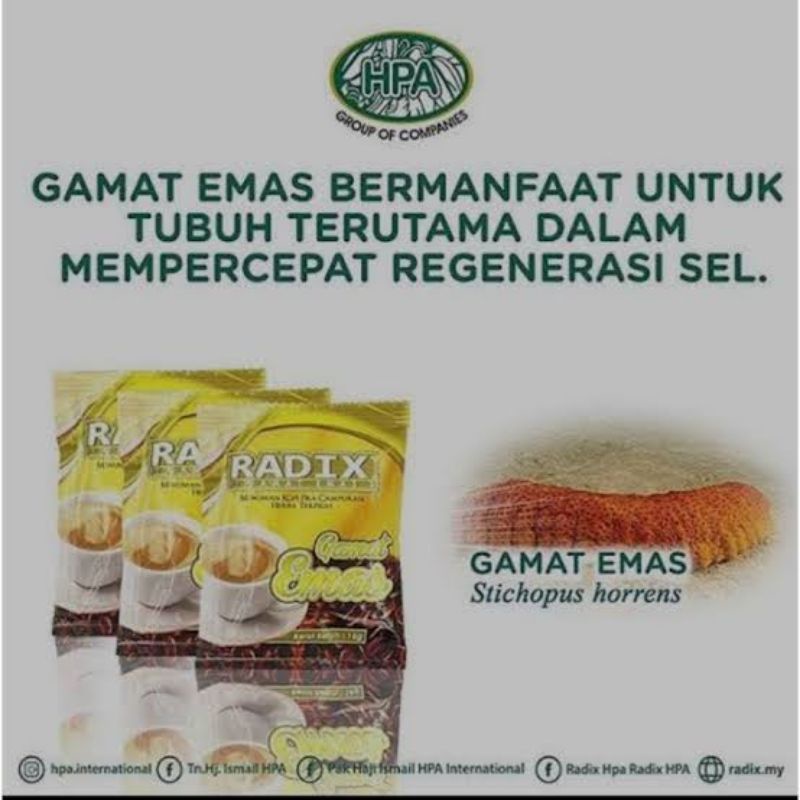 Kopi Radix Gamat Hpa