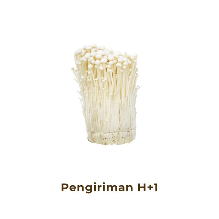 

Jamur Enoki