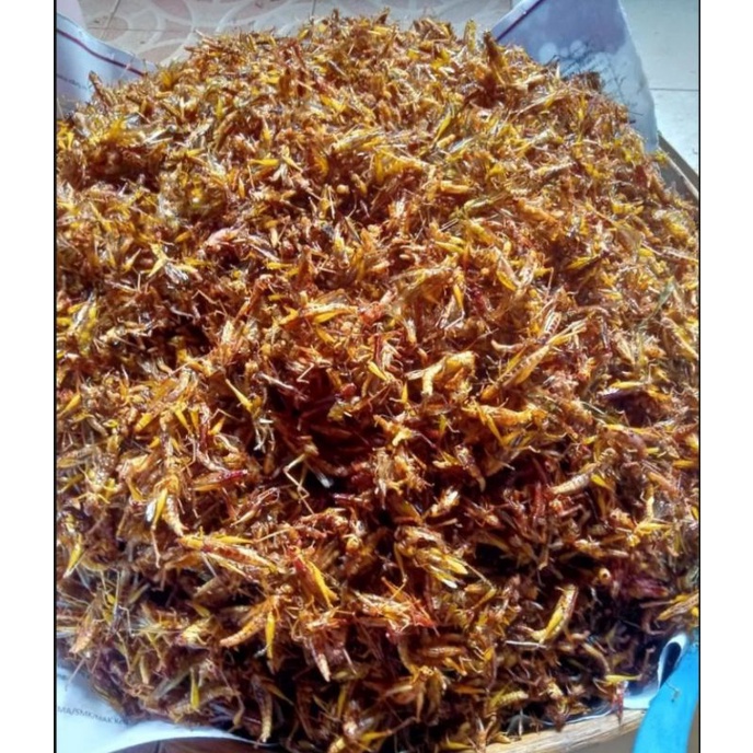 BELALANG GORENG KEMASAN 100GR