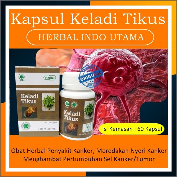 Obat herbal Penyakit KANGKER Menghambat pertumbuhan penyakit kangker keladi tikus HIU original kapsu