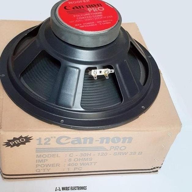 Model Baru Spiker cannon 12 inch spiker Canon Pro Woofer 400W SRW 38 B 레