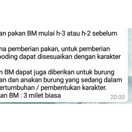 BLACK MAGIC (UNTUK LOVEBIRD BALIBU)