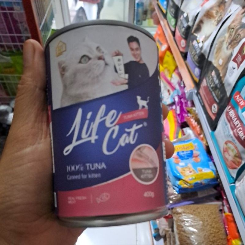 life cat tuna kitten