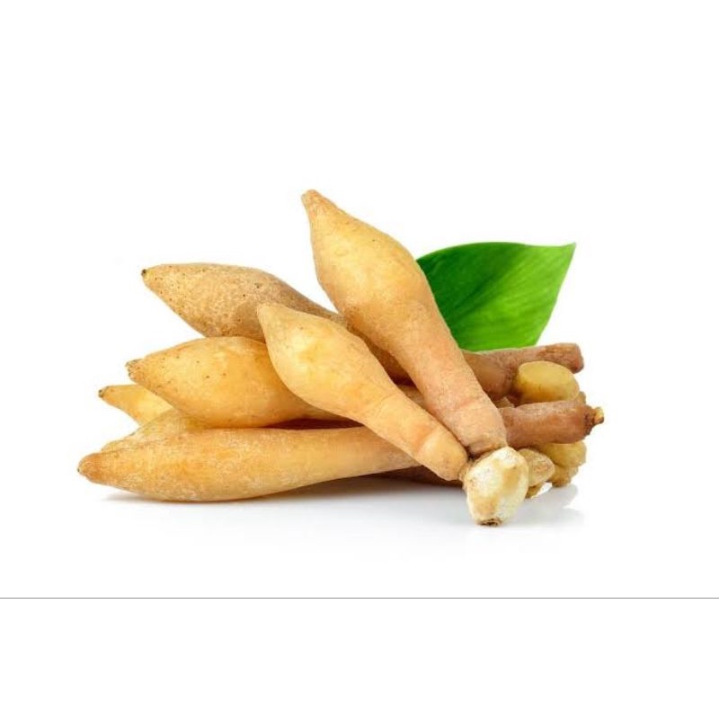 

Temu kunci/Fingeroot/Chinese key/ao chun jiang 1kg