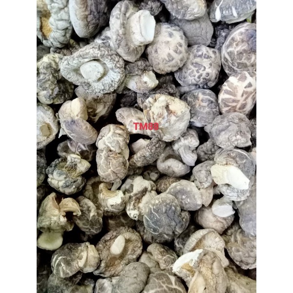 

JAMUR SHITAKE KERING KECIL/JAMUR HIONG KU KECIL