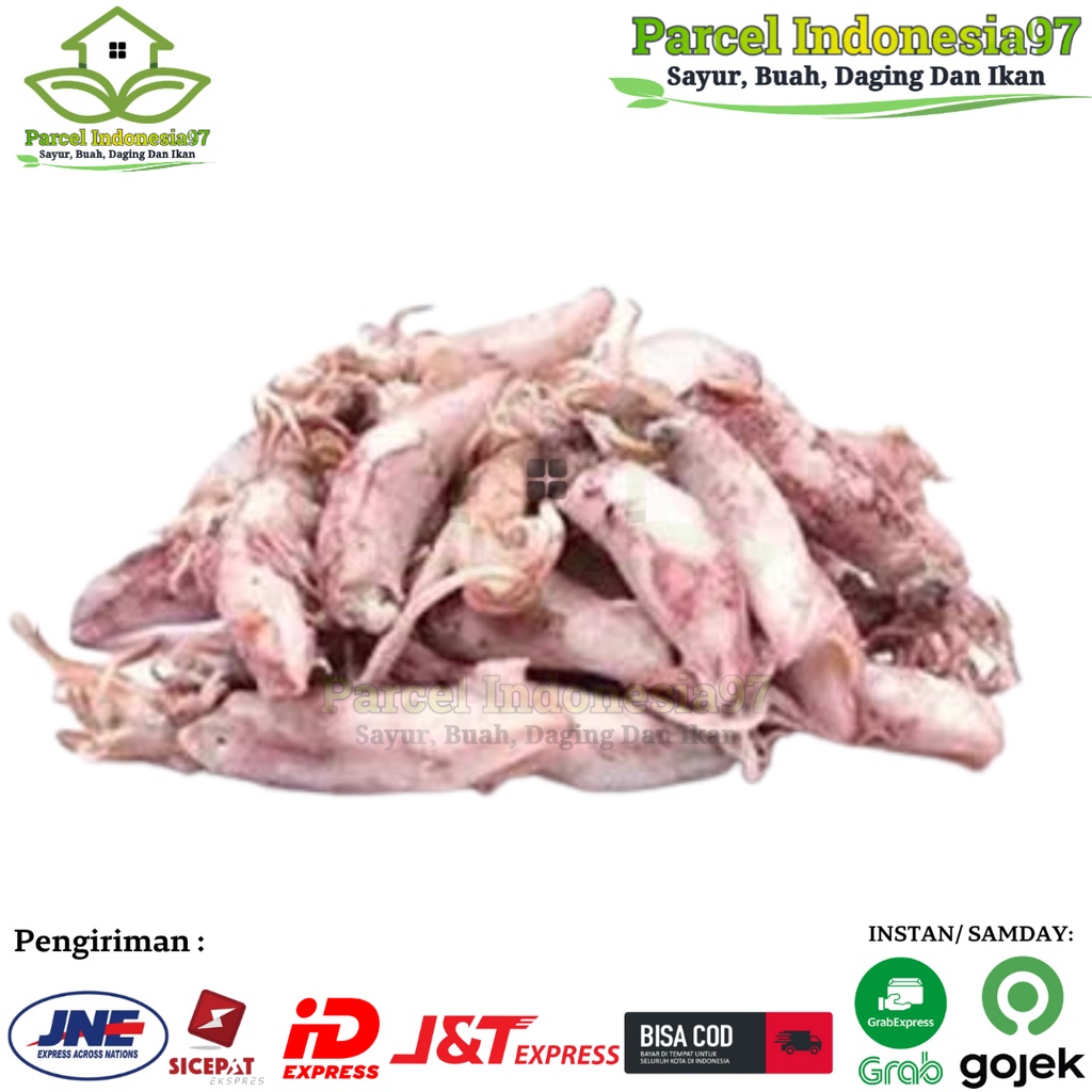 

Cumi asin telor segar pilihan