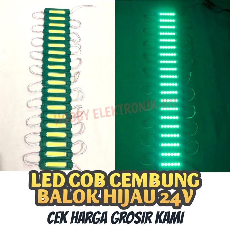 LAMPU LED STRIP MODULE COB 6MATA 24V BIRU