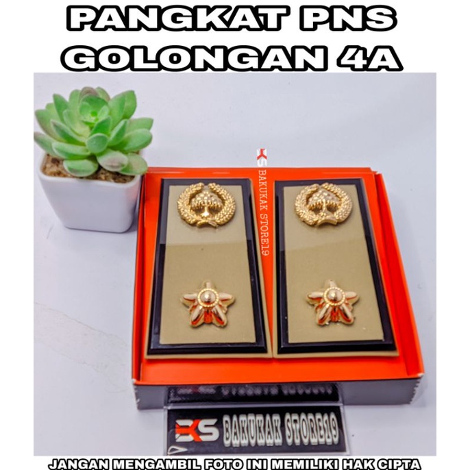 PANGKAT PNS LAMPUNG 4A - PANGKAT LAMPUNG - PANGKAT 4A - PANGKAT PNS LAMPUNG 4A - PANGKAT ASN LAMPUNG