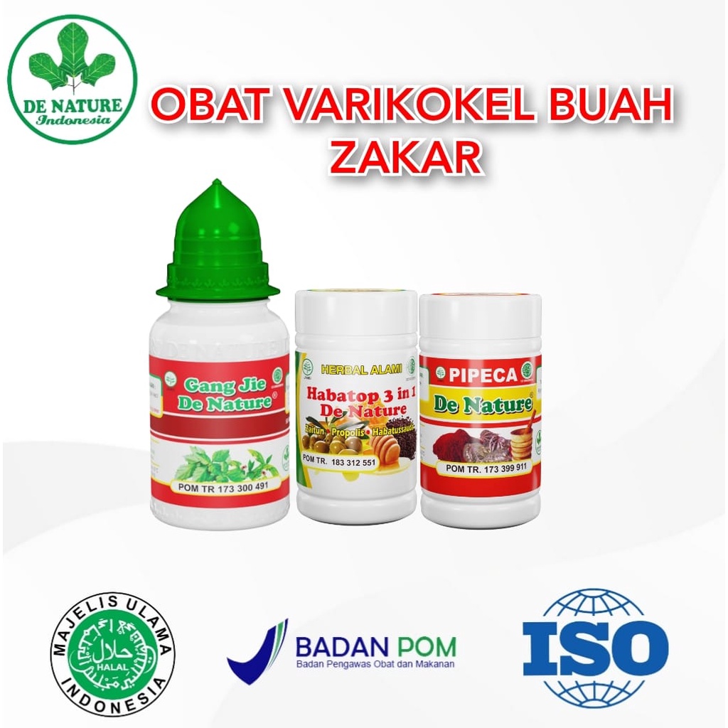 Obat Varikokel - Varises di Buah Zakar, Testis Pria Paling Ampuh Herbal Tradisional Ampuh