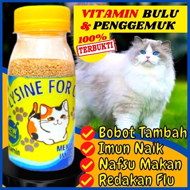 Vitamin Kucing Penambah Nafsu Makan Penggemuk Kucing Kitten lysine