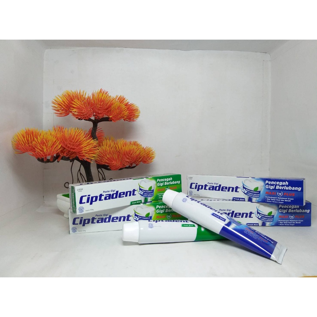 CIPTADENT Pasta Gigi Fresh Cool Mint 120gr Perawatan Mulut Gusi Pencegah Giggi Berlubang